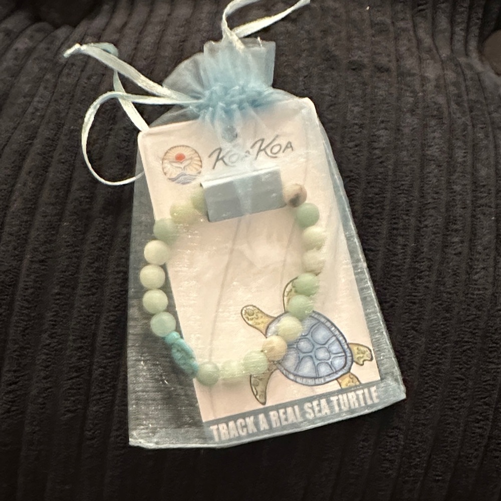 Sea Turtle Tracking Bracelet - Blue and Green